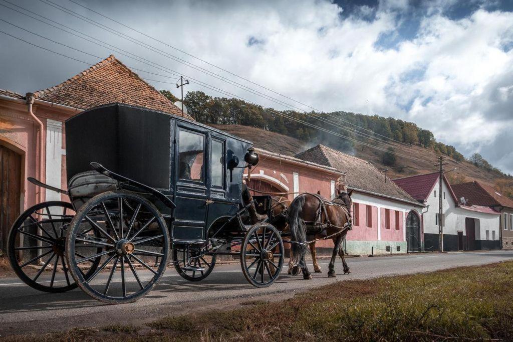 Valea Verde Retreat Transilvania Cund Zewnętrze zdjęcie