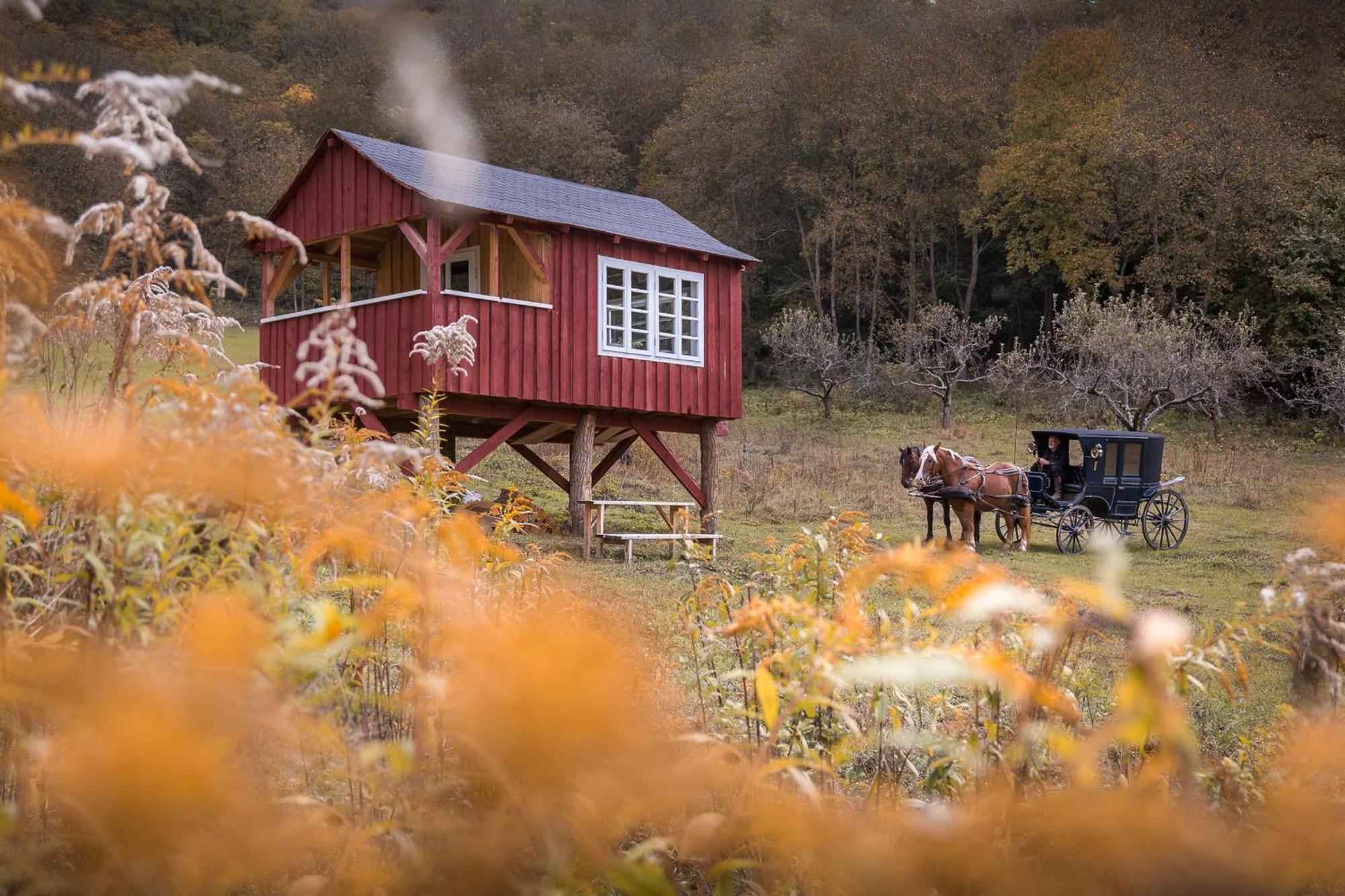 Valea Verde Retreat Transilvania Cund Zewnętrze zdjęcie